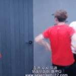[세븐틴] 도른자하니까 생각나는데
