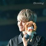 [백현] 팬싸프리뷰 시급하다..ㅠㅜ