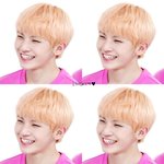 [세븐틴] <b>서가</b>대 투표!!