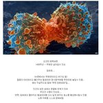 [유머북] 암세포의 위엄.jpg