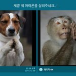 [릴레이<b>픽스</b>] 내 아이폰이!!! ㅠㅠ