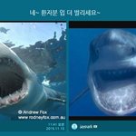 [릴레이<b>픽스</b>] 아 하세요!