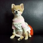 <b>주인님</b>아, 나 좀 자면 안 돼?