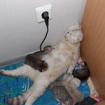 술 먹고 난 <b>다음</b>날 우리 모습