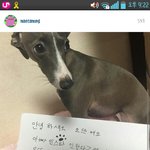 [위너] <b>메타</b>몽인스타ㅠㅠㅠ