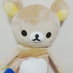 [동성] (동성)철부지 38