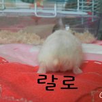 [댓글부탁해] 다들 어렸을때 <b>일화</b>있어요?(스압주의)