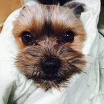 오늘 커뮤니티 베스트 요약 정리(12/17)