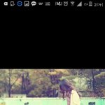 [방탄소년단] 아오아 초5아분 <b>불꽃</b>뮤비촬영장소