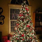 [<b>드르</b>와] 서울대/연세대 의대 가고싶어