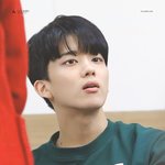 <b>사슴</b>같은 미모의 아이돌 모음