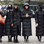 검은 <b>나뮤</b>들의 출근길