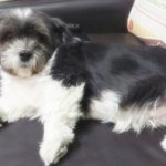 [4멍10냥] 뚠뚠의 변신은 <b>무죄</b>