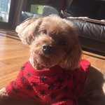 [핫베] 오늘 커뮤니티 베스트 요약 정리(12/18)