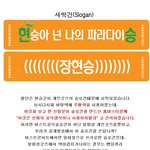 [댓글부탁해] 신창의 그간 도가 지나친 행적들(비스트,레드벨벳,...