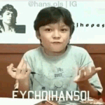 [세븐틴] FILLET