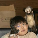 카쿵웅 언프리에 왜 프리뽀이 아 <b>레디</b>오 얼꿀포단 목쒀리로 뻘지 뚼언...