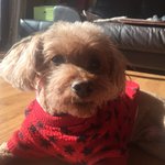 오늘 커뮤니티 베스트 요약 정리(12/19)