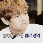 [방탄소년단] ㅅㄷ 근데 진짜 서울아미들이 부러운게