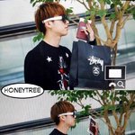 [인피니트] <b>나무</b>와 <b>나무</b> 시리즈