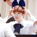 [세븐틴] 위아래왕<b>리본</b>달은 참새승관