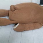 [인피니트] ㅅㄷ)내가안고자는 곰돌이인데 <b>짱</b>귀요워