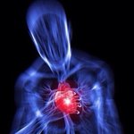 [댓글부탁해] 방금 <b>엠넷</b>에서