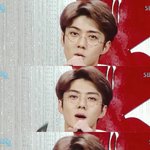 [EXO] 이 머리인줄 알고 <b>헤디</b>가 잠깐 사랑스러웠는데