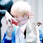 [세븐틴] 작작하라고 ㅆ ㅑㅇ