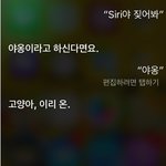 [유머북] 시리에게짖어보라고하니 (홍보주의!)