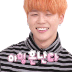 [방탄소년단] 짐니 커버곡도 들어보고 싶소....