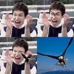 [세븐틴] 얼굴에 새가보이는 이석민