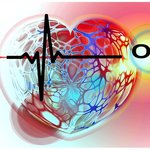 혈액순환이 안되서 선택한 polikrill