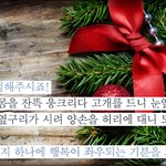 랜선 연인도 연인이라 인정해주시죠! 남자 솔로를 위한 크리스마스...