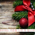 선택지 하나에 행복이 좌우되는 기분을 느낀적 있느냐! 여자 솔로를...