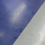 아 처음 글 쓰는데 지금 지하철에서 맘충 너무 징그럽네요.