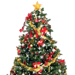 [레이] 사담)<b>to</b>.레이톡