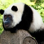 [댓글부탁해] 거울하고 <b>후면</b>카메라랑