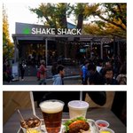 한국 들어온다는 쉑쉑버거 실물