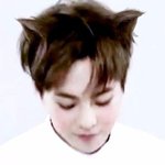 [EXO] 이거 귀만드는거? <b>어플</b>뭐깔아야해?? 