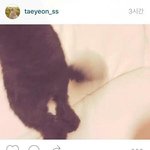 [댓글부탁해] 백현 태연 아직도 만나는 증거 <b>정리</b>해봤어!
