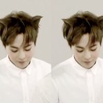 [시우민] 시우민 <b>새</b> 별명 탄생 