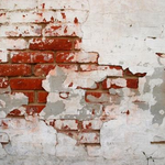 [지진] 지진) 큰 지진 한번 터지기 전의 <b>징조</b>