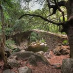 신비로운 분위기 가진 <b>다리들</b>