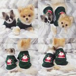 [크림일기] 포메슈크림 커플룩 산타옷 입었어요~