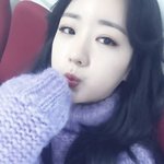 <b>보미</b>는 흑발이쥐