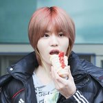 [인피니트] 톡선에 까는글같은거있으면 가져오지마시2발