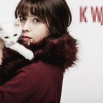 고양이랑 화보 찍은 <b>도희</b>