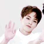 [EXO] <b>호이</b>짜 <b>호이</b>짜