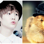 [방탄소년단] ㅋㅋㅋ방탄<b>동물원</b>